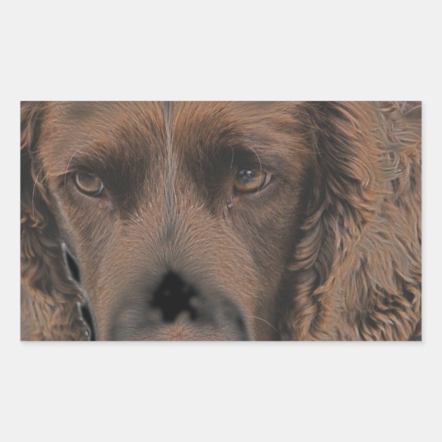 Sticker Rectangulaire Chiens Springer anglais (Devant)