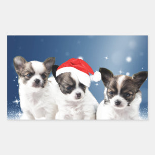 Sticker Rectangulaire Chihuahua Chiuppies mignonnes avec Noël du Père No