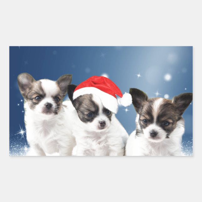 Sticker Rectangulaire Chihuahua Chiuppies mignonnes avec Noël du Père No (Devant)