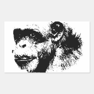 Sticker Rectangulaire Chimpanzé noir et blanc