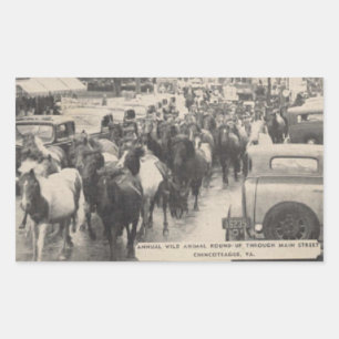 Sticker Rectangulaire Chincoteague Pony Cheval Vintage Carte postale Art