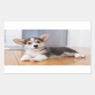 Sticker Rectangulaire Chiot de corgi de Gallois de Pembroke