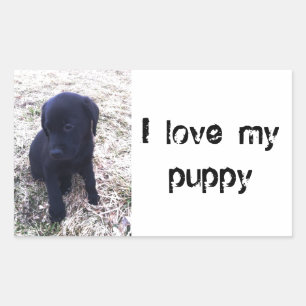 Sticker Rectangulaire Chiot de récupération Black Labrador