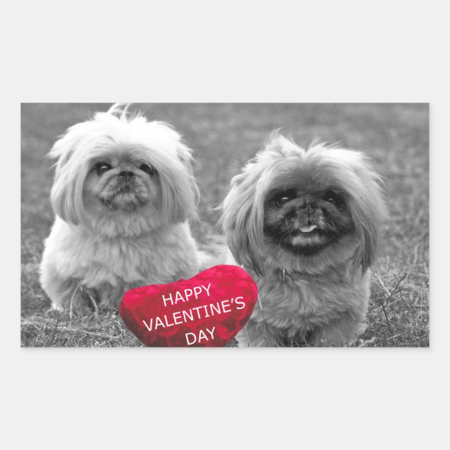 Sticker Rectangulaire Chiots Pekingese souhaitant Heureuse Sainte-Valent (Devant)