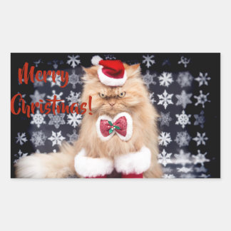 Sticker Rectangulaire Christmas Cat