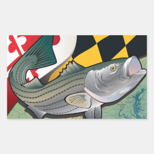Sticker Rectangulaire Citizen Rockfish du Maryland