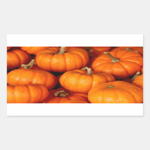 Sticker Rectangulaire Citrouille
