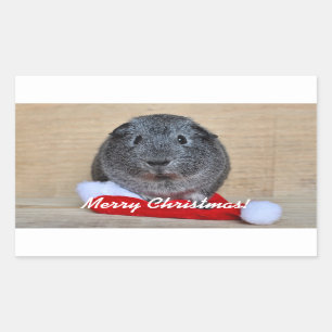Sticker Rectangulaire Cochon de Guinée de Noël