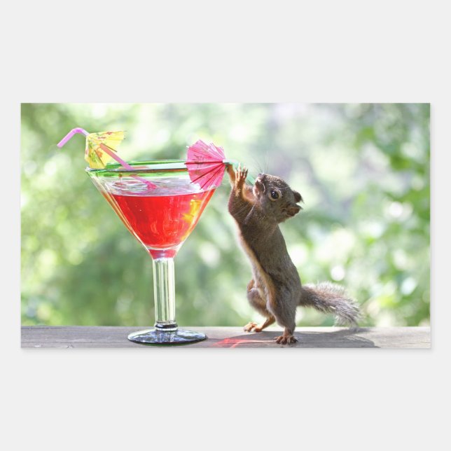 Sticker Rectangulaire Cocktail d'écureuil (Devant)