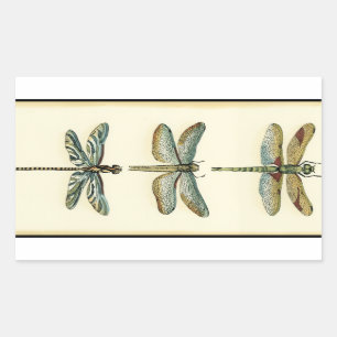 Sticker Rectangulaire Collection de libellule par Chariklia Zarris