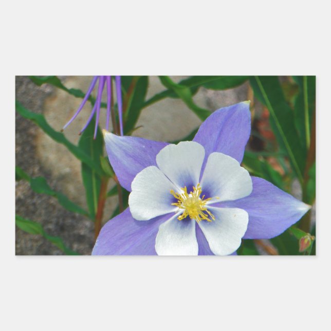 Sticker Rectangulaire Colonne bleue (Devant)