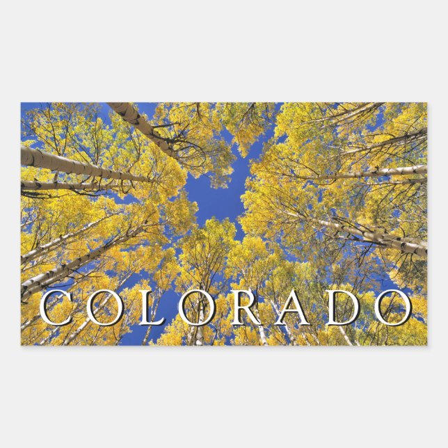 Sticker Rectangulaire Colorado automne | Forêt de trembles en automne (Devant)