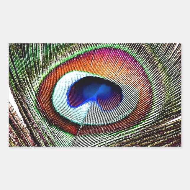 Sticker Rectangulaire Colorful Copper Peacock Feather (Devant)