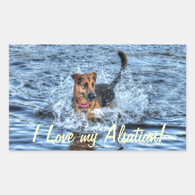 Sticker Rectangulaire Conception de chiens pour les amateurs de moules (Devant)