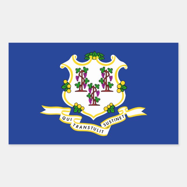 Sticker Rectangulaire Conception de l'indicateur d'état Connecticut (Devant)