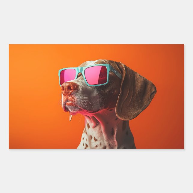 Sticker Rectangulaire Cool Bracco italiano dog with sunglasses (Devant)