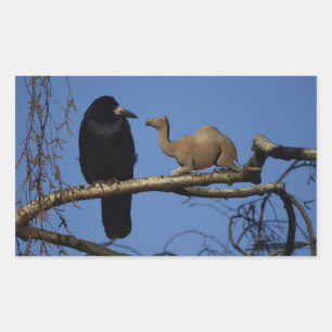 Sticker Rectangulaire Corbeau surpris