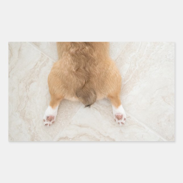 Sticker Rectangulaire corgi butt (Devant)