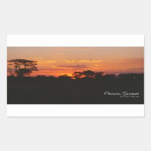 Sticker Rectangulaire Coucher de soleil Acacia