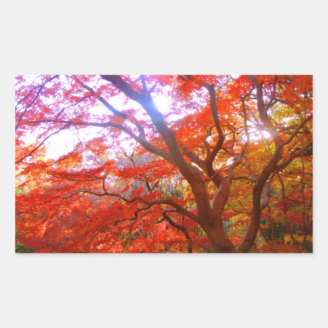 Sticker Rectangulaire Couleur d'automne (Devant)