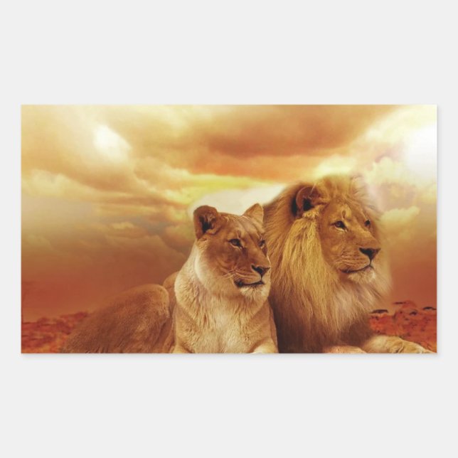 Sticker Rectangulaire Couple de lions dans le safari (Devant)