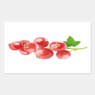 Sticker Rectangulaire Courants rouges