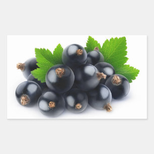 Sticker Rectangulaire Cours noirs