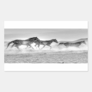 Sticker Rectangulaire Course de mustang