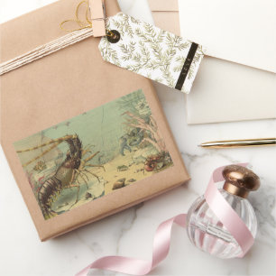 Sticker Rectangulaire Crevettes, Vie sous-marine, Animaux de l'océan vin