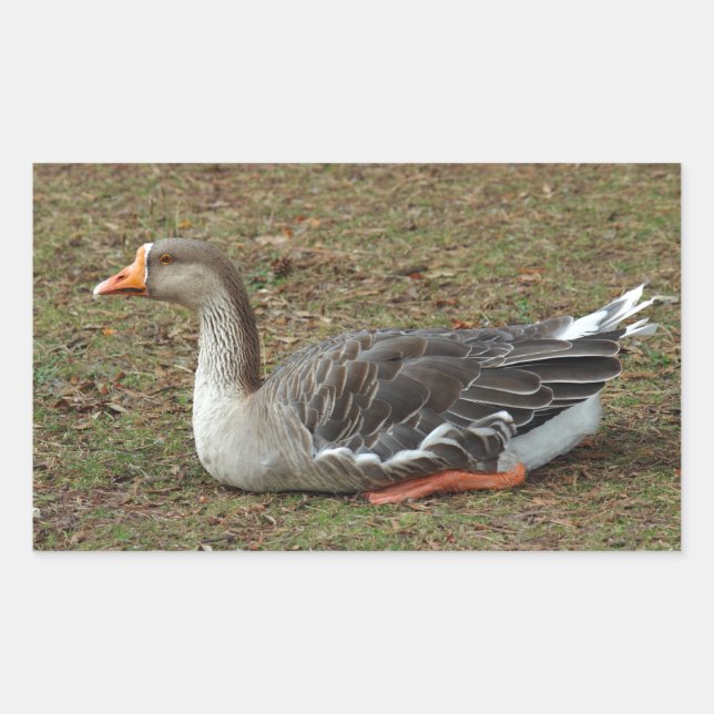 Sticker Rectangulaire Croix du cygne gris (Devant)