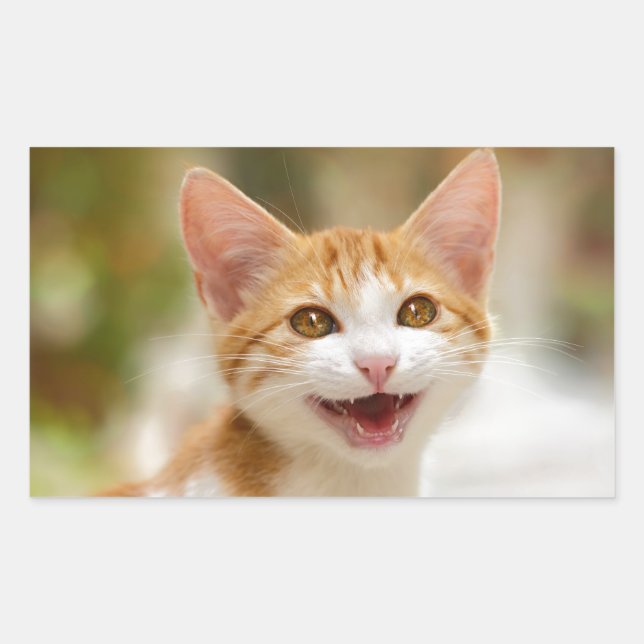 Sticker Rectangulaire Cute Smiling Kitten Face Funny Cat Meow (Devant)