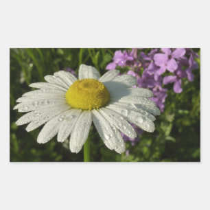 Sticker Rectangulaire Daisy et lilas d'été botanique