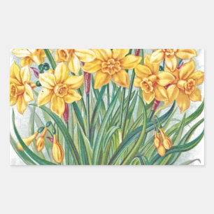 Sticker Rectangulaire date rsvp fleurs jonquille jaune vintage