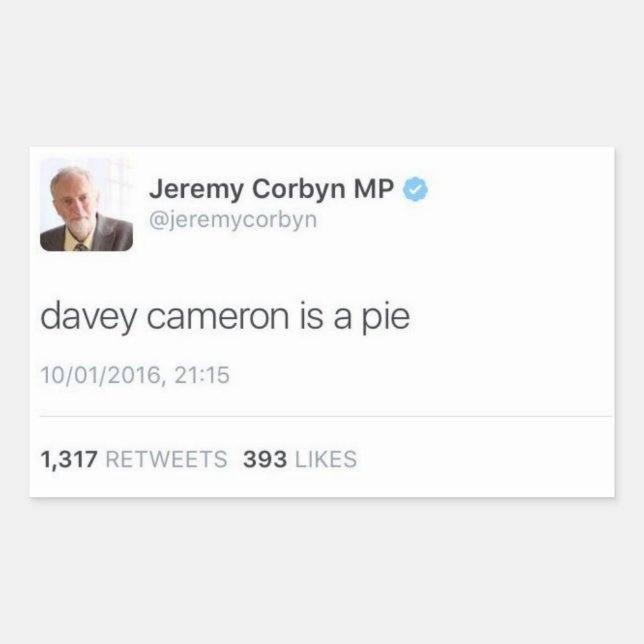 Sticker Rectangulaire Davey Cameron Est Un Pie (Devant)