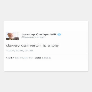 Sticker Rectangulaire Davey Cameron Est Un Pie