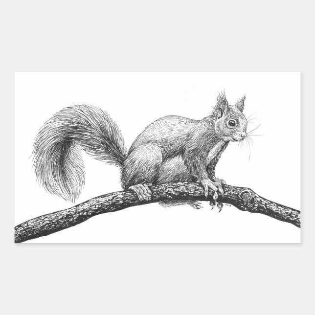 Sticker Rectangulaire Dessin d'écureuil (Devant)