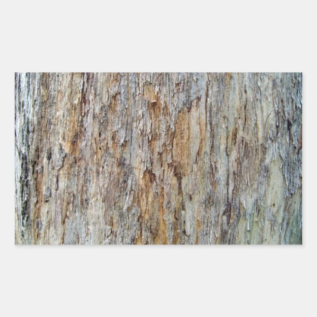 Sticker Rectangulaire Détail de la texture de l'écorce d'arbre (Devant)