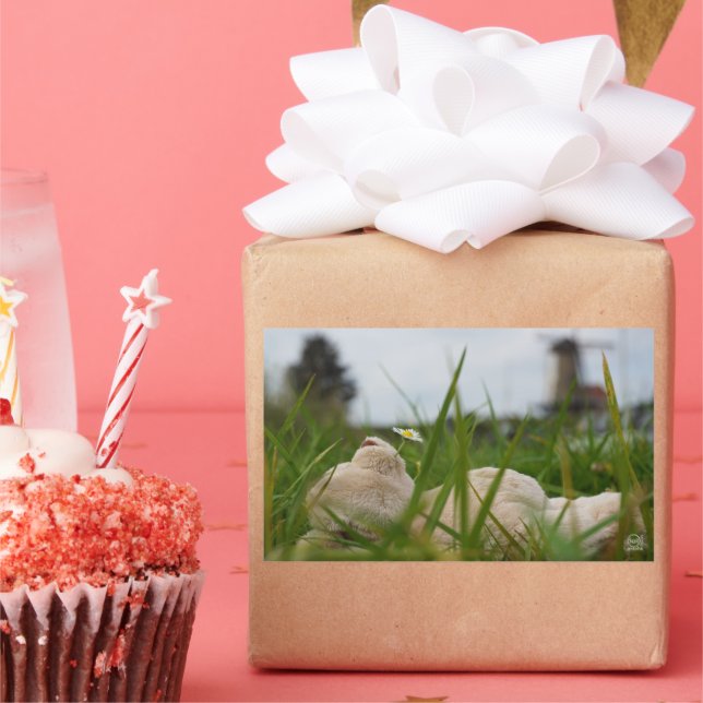 Sticker Rectangulaire Détendez-vous dans la nature avec le moulin hollan (Fête)