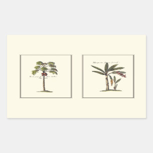 Sticker Rectangulaire Deux mini palmiers encadrés