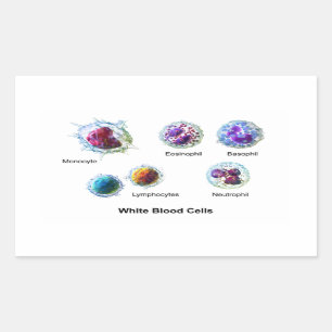 Sticker Rectangulaire Diagramme des cellules de sang blanc Leukocytes