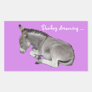 Sticker Rectangulaire Donkey rêver mignon poulain de bébé âne