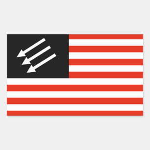 Sticker Rectangulaire Drapeau américain anti-fasciste