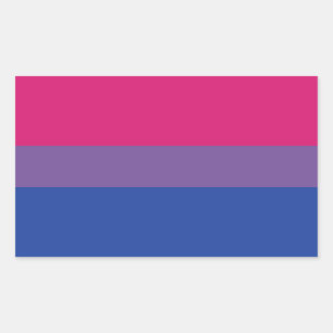 Sticker Rectangulaire Drapeau de Bi