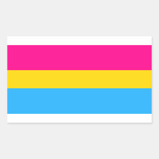 STICKER RECTANGULAIRE "DRAPEAU PANSEXUAL DE FIERTÉ "