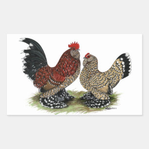 Sticker Rectangulaire D'Uccle Bantams : Mille Fleur