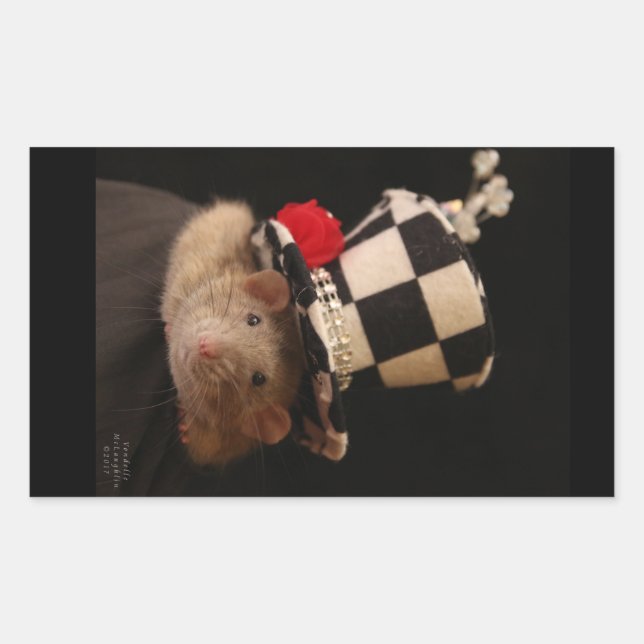 Sticker Rectangulaire Dumbo Fancy Rat dans un casquette mignon (Devant)