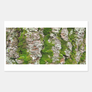 Sticker Rectangulaire Écorce De Pin Arbre Avec Mousse