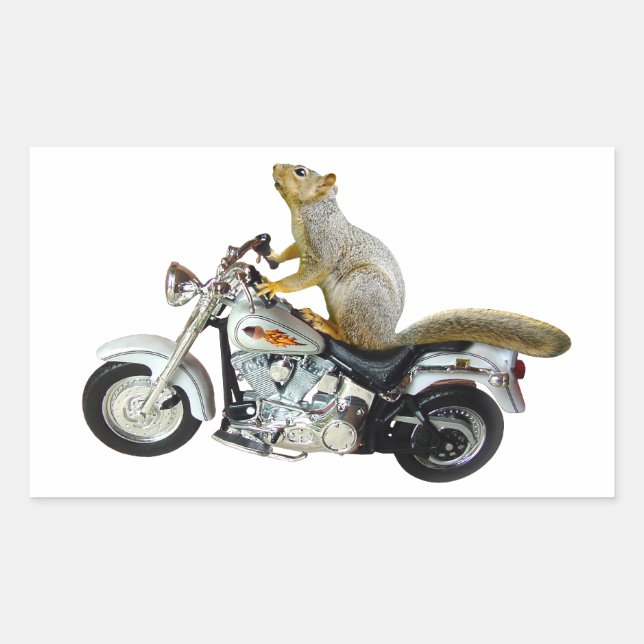 Sticker Rectangulaire Écureuil en moto (Devant)