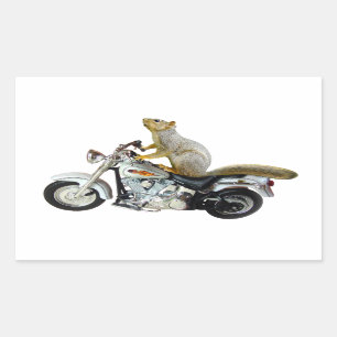 Sticker Rectangulaire Écureuil en moto