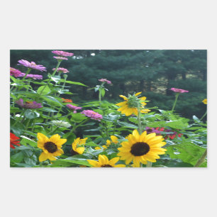 Sticker Rectangulaire Elégant jardin fleuri tournesol zinnia mums